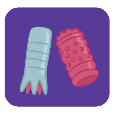 Accessori Pene